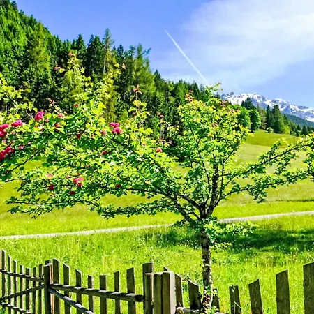 Knaushaeusl By Interhome Ramsau am Dachstein